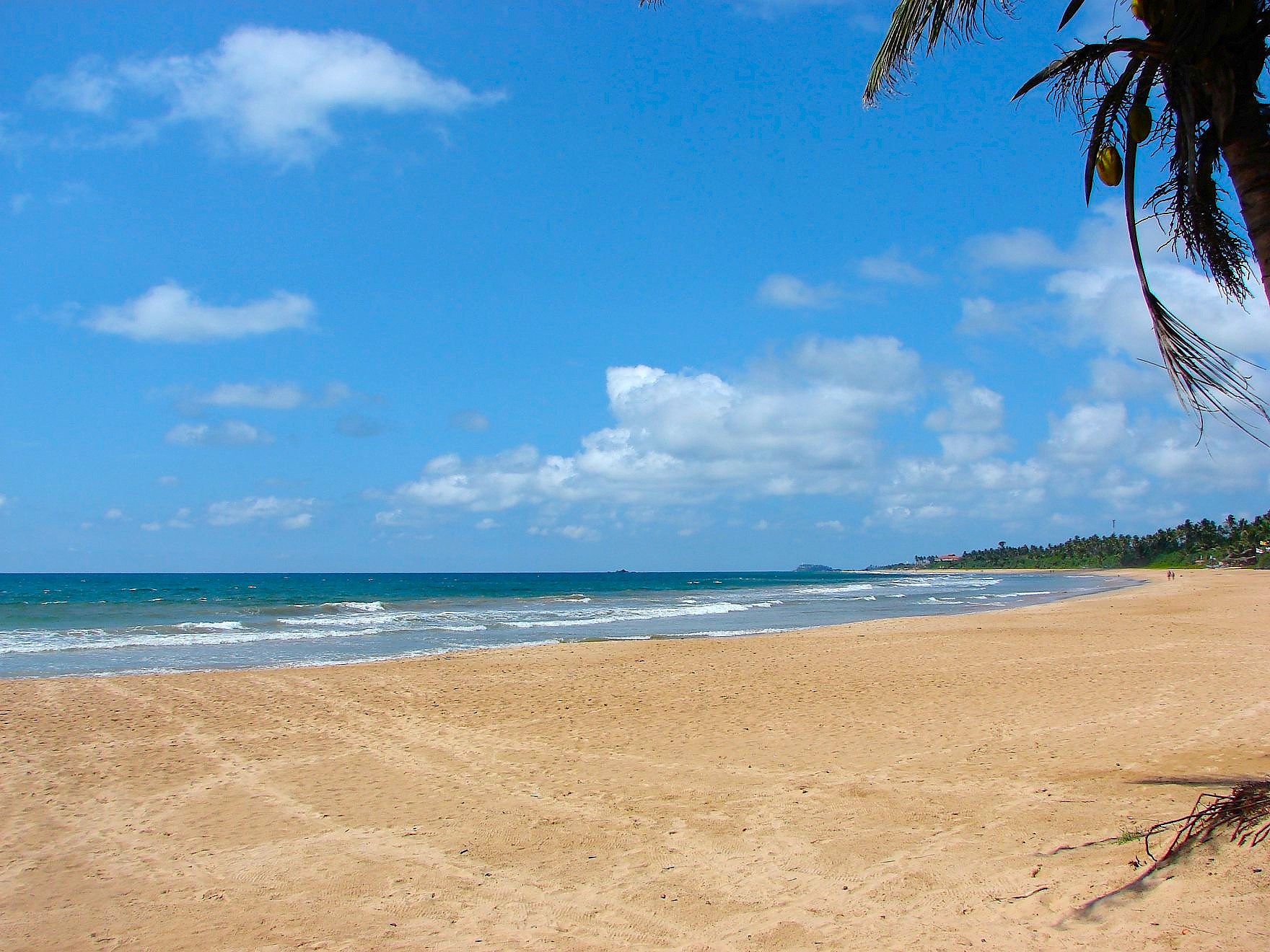 Best Time to Visit — Villa Estuary Sri Lanka
