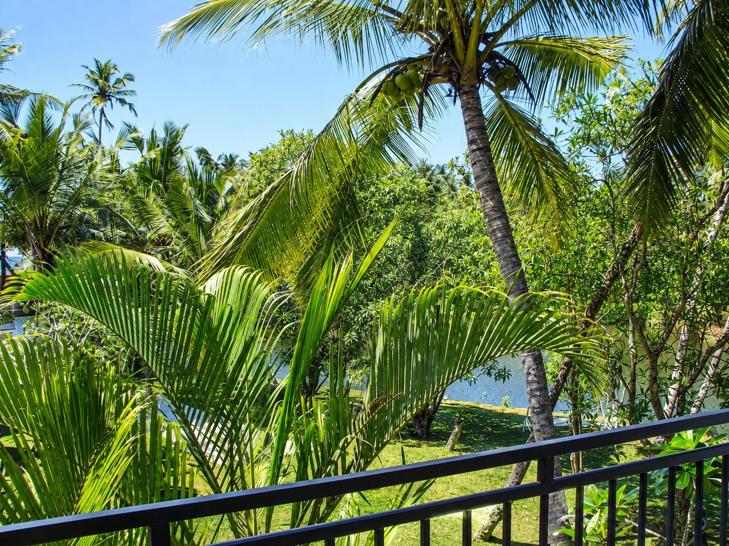 Villa Estuary Deluxe Room — balcony estuary view