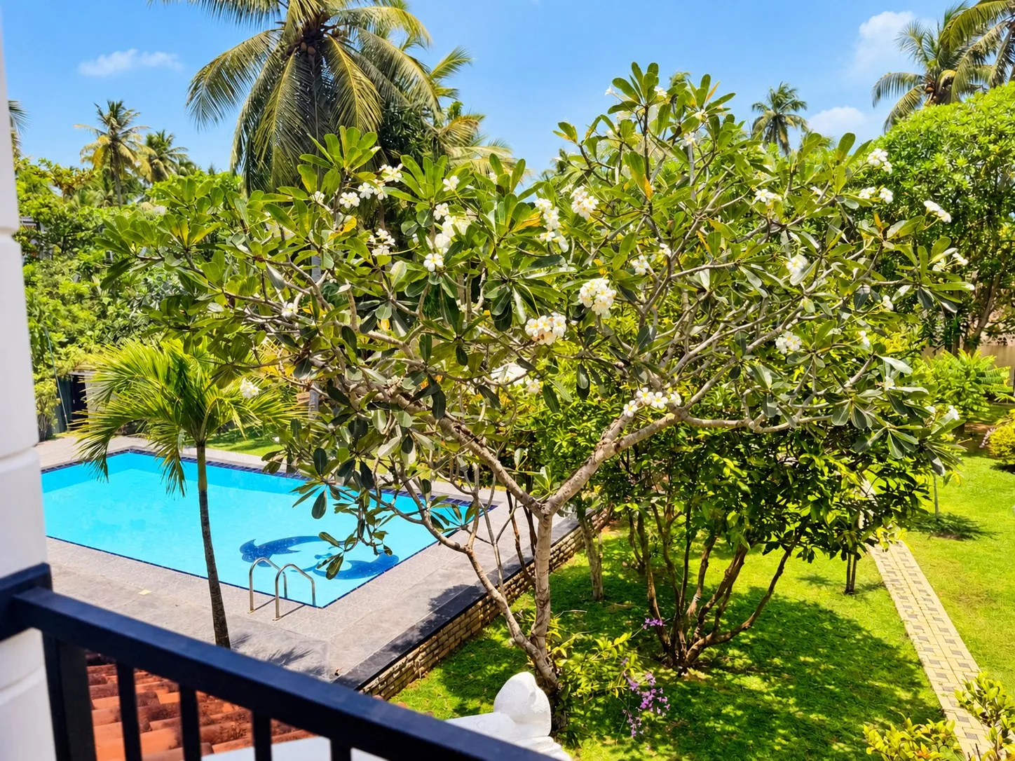 Pool and garden seen from an Estuary Suite balcony