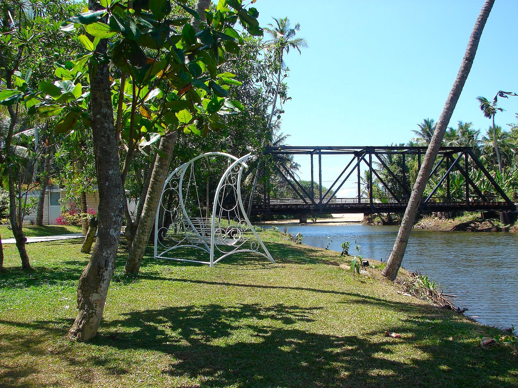 Estuary birdwatching Induruwa