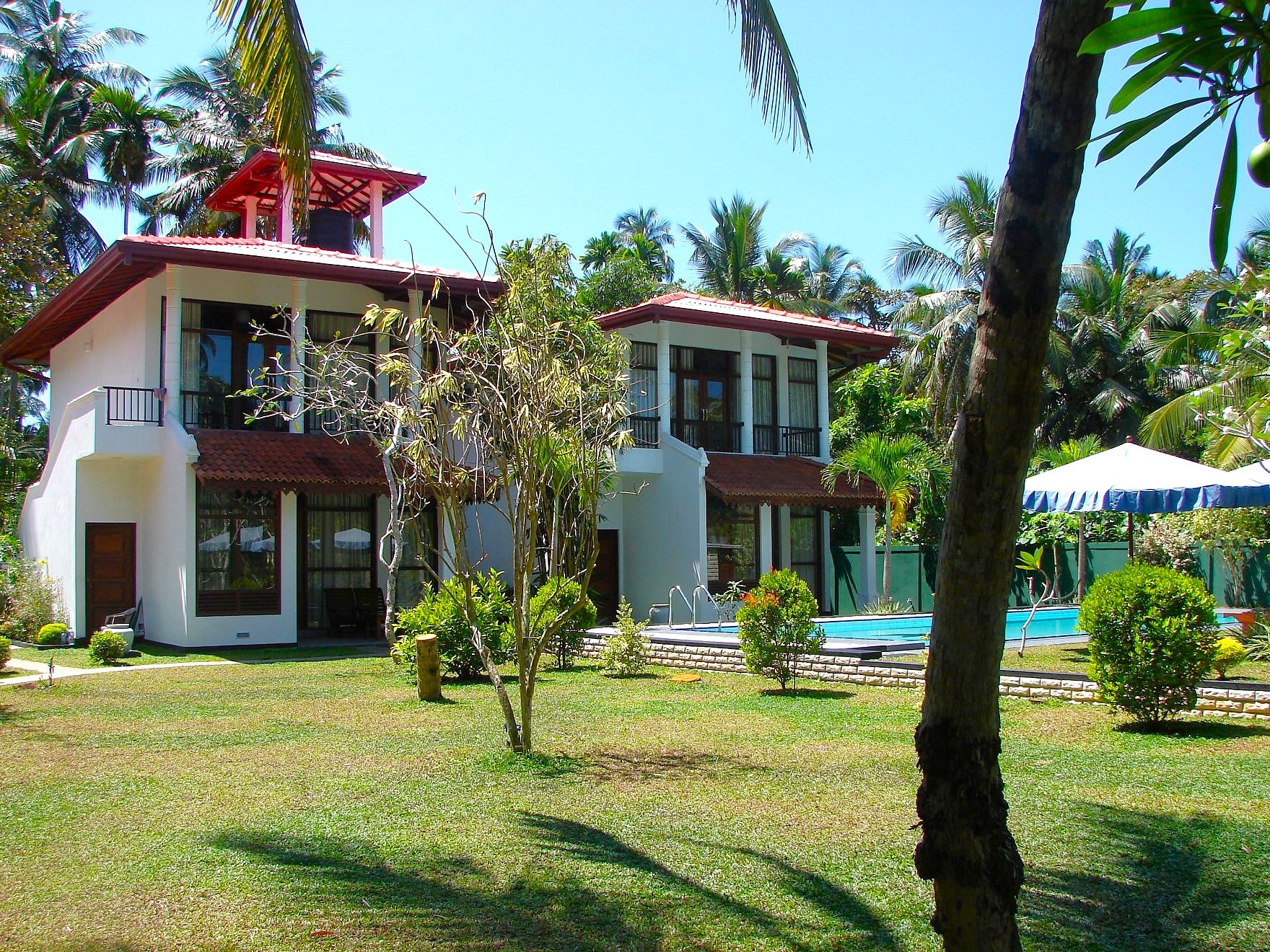 Pool and tropical garden