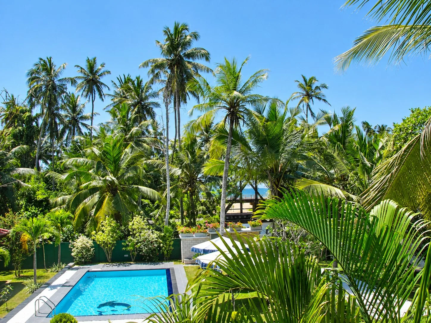 Pool and tropical garden
