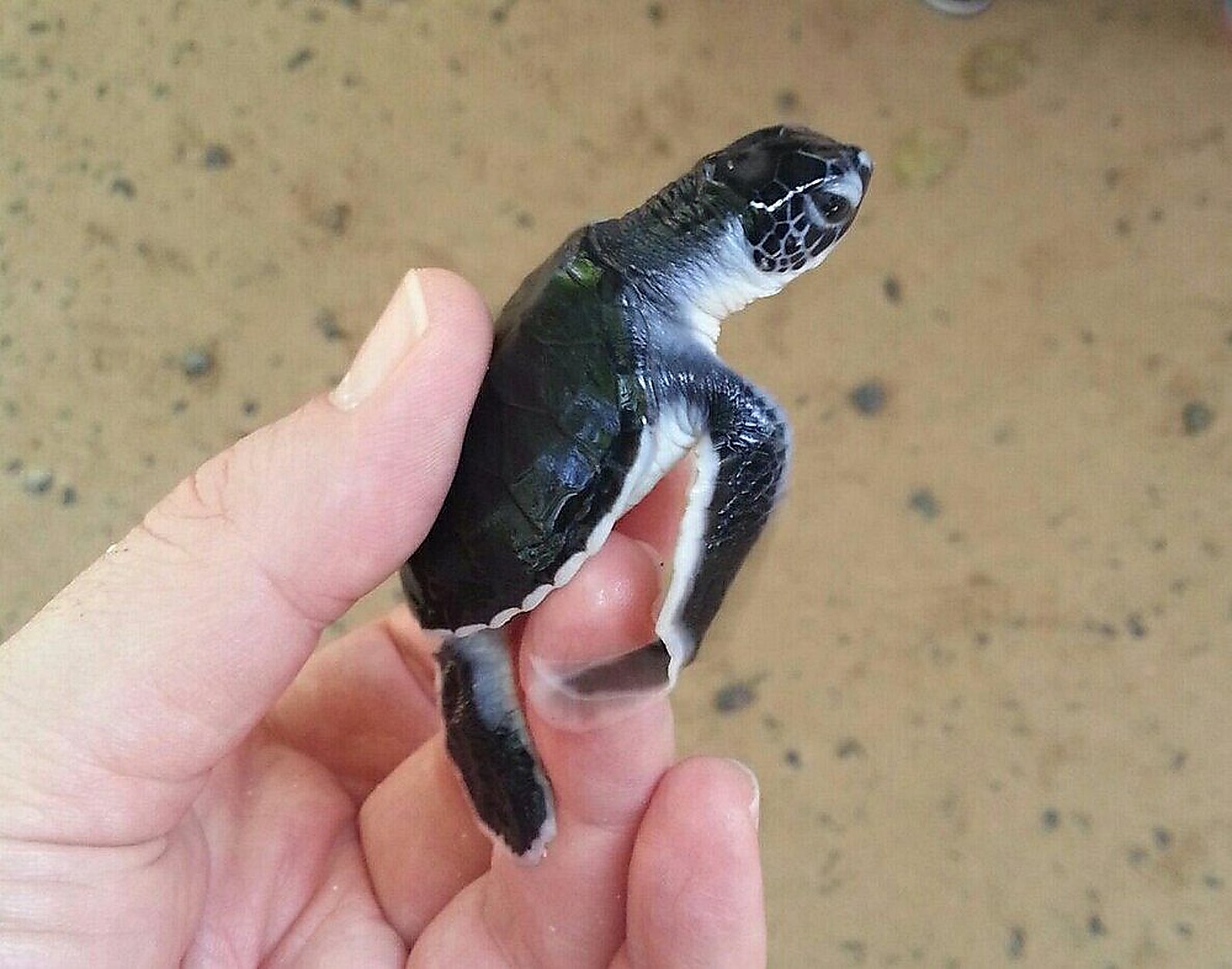 Your Impact — Villa Estuary Sri Lanka